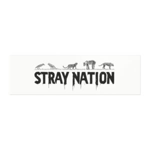 Stray Nation Car Magnet